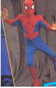 spiderman costume